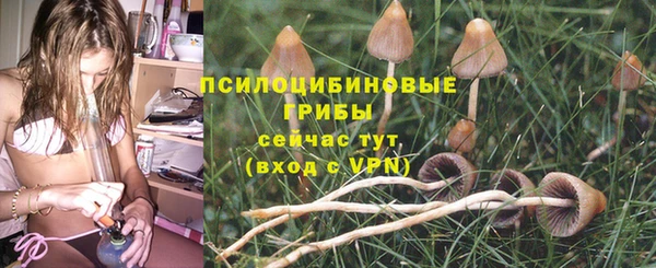 mdpv Беломорск