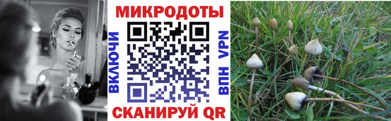 mega онион  Омск  мориарти наркотические препараты  Псилоцибиновые грибы мухоморы 