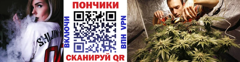 Шишки марихуана SATIVA & INDICA  Омск 